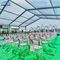 현대 큰 옥외 결혼식 천막 알루미늄 대피소 300 Seater 활동